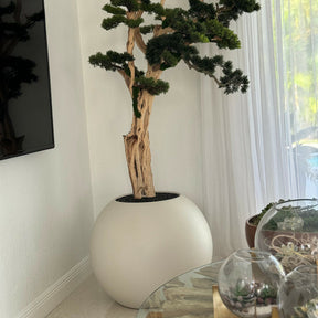 Trilhando bonsai em globo bege acetinado de 30 "