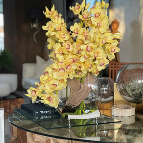 Cymbidiums Amarelos em Vaso Lunar